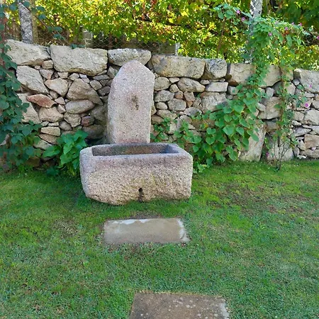 아파트 Vinha Velha *